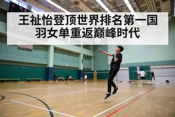 badminton court action